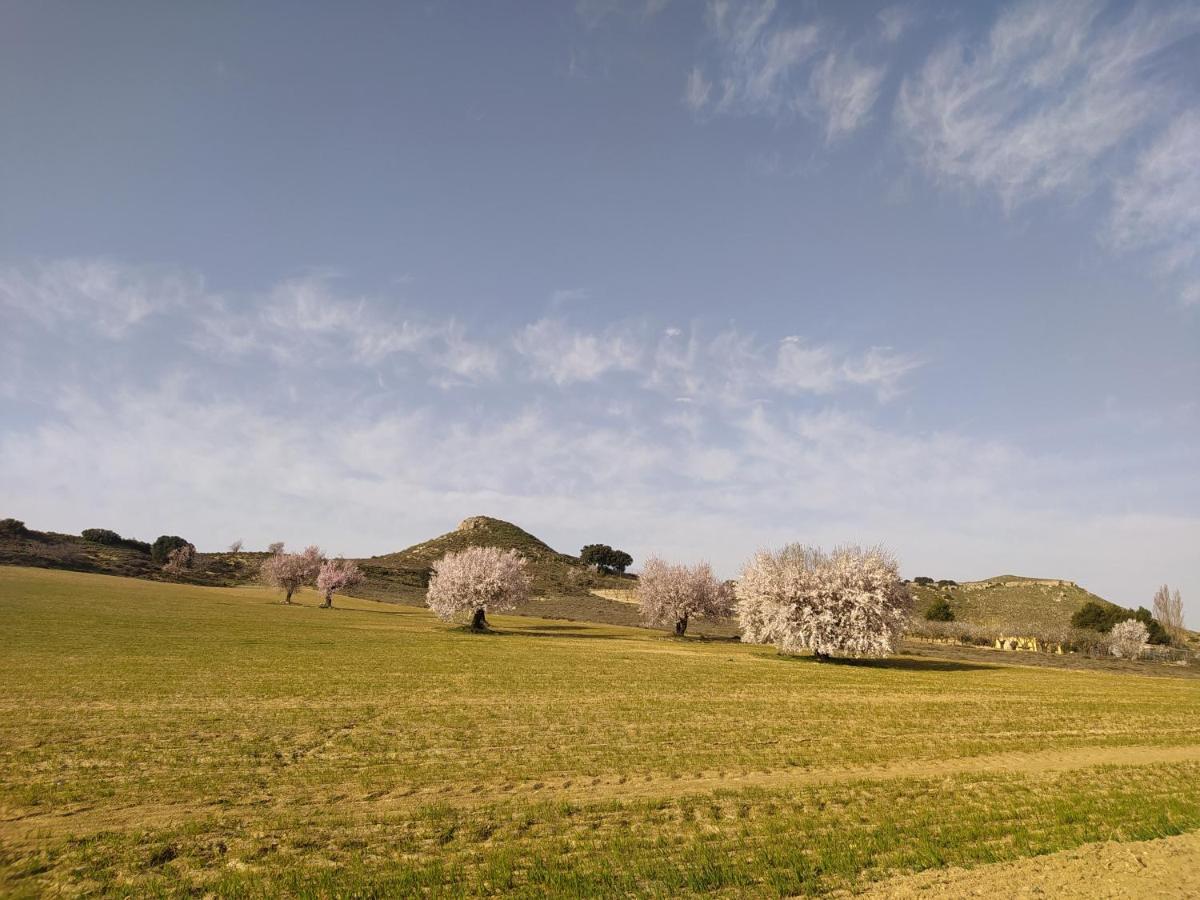 Casa Rural La Galana Albacete Chinchilla de Monte Aragon Luaran gambar